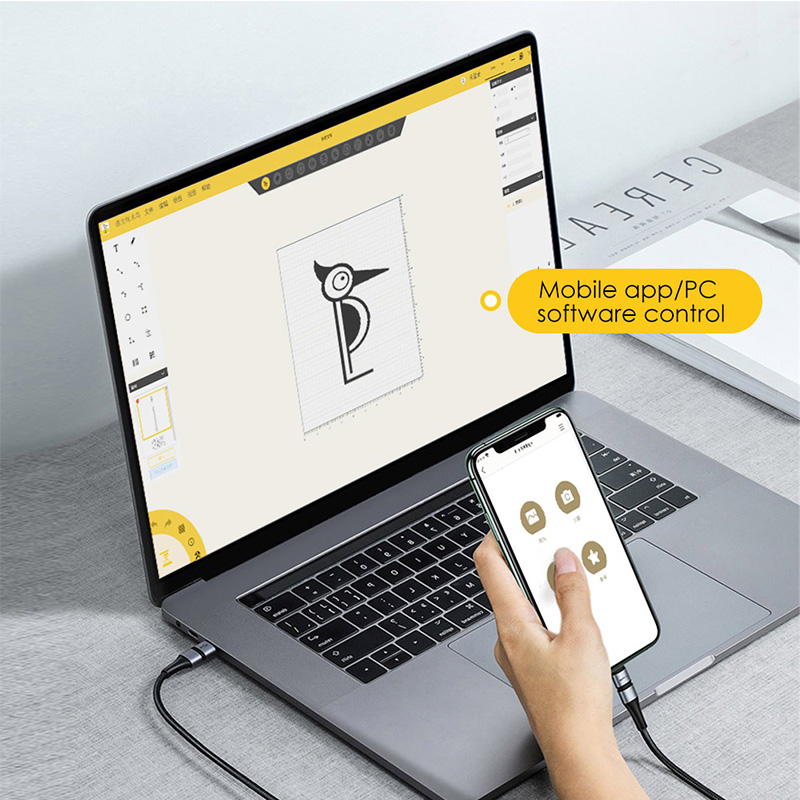 LASERPECKER Incisore laser por - Laser Engraving Software recensione e prezzo