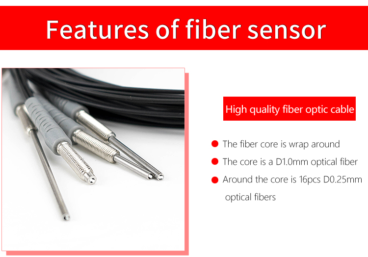 Sensore a Fibra Ottica RS310 p - Industrial Laser Operator recensione e prezzo